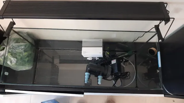 Acuario. Ojo, solo acuario. No accesorios