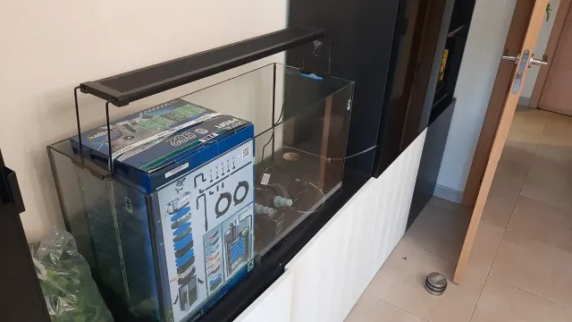 Acuario. Ojo, solo acuario. No accesorios