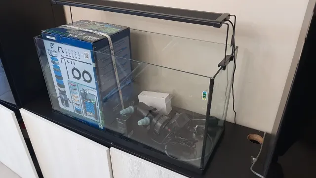 Acuario. Ojo, solo acuario. No accesorios