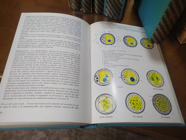 ENCICLOPEDIA DE CONSULTA 6 TOMOS