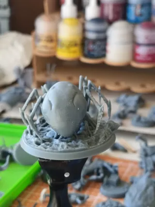 Miniatura 32mm per D&D