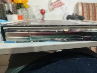 The Last of Us Parte II PS4 Edición Especial