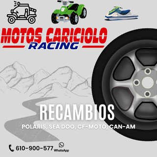 RECAMBIOS DE SEA DOO, POLARIS, CF-MOTO, CAN AM