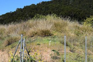 Solar en venta en Alaró