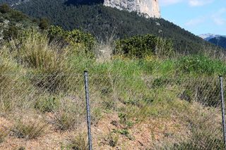 Solar en venta en Alaró