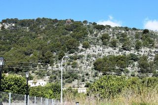 Solar en venta en Alaró