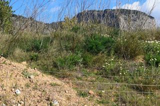 Solar en venta en Alaró