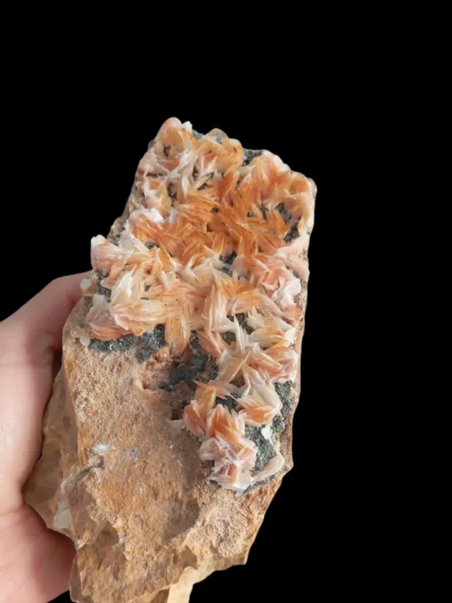 Barite con Galena