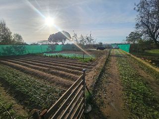 Terreno en venta en Casco Antiguo en Talavera de la Reina