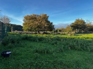 Parcela urbanizable a 15min centro de Pontevedra