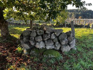 Parcela urbanizable a 15min centro de Pontevedra