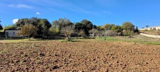 Terreno en venta en Manacor Centro en Manacor