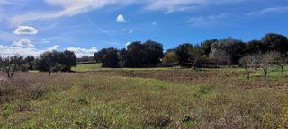 Terreno en venta en Manacor Centro en Manacor