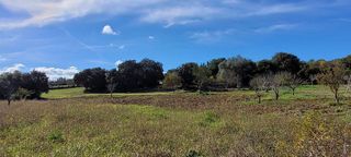 Terreno en venta en Manacor Centro en Manacor