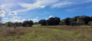 Terreno en venta en Manacor Centro en Manacor