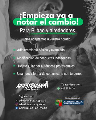 adiestramiento canino en Bilbao y alrededores