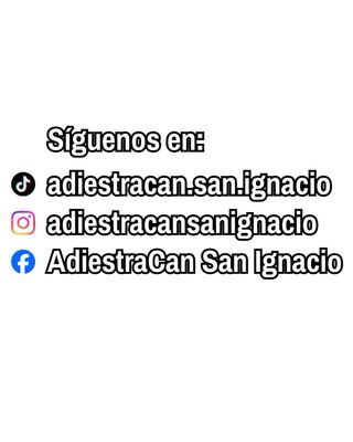 adiestramiento canino en Bilbao y alrededores