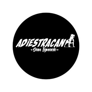 adiestramiento canino en Bilbao y alrededores