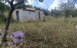 Terreno en venta en Zona periurbana en Inca