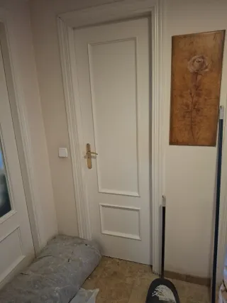 10 Puertas Interiores Blancas