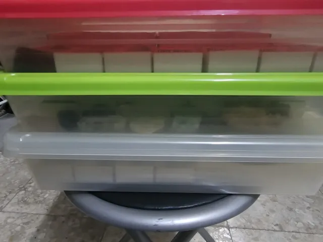 Collezione di minerali