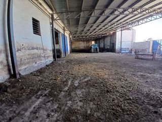 Solar en venta en Argamasilla de Alba