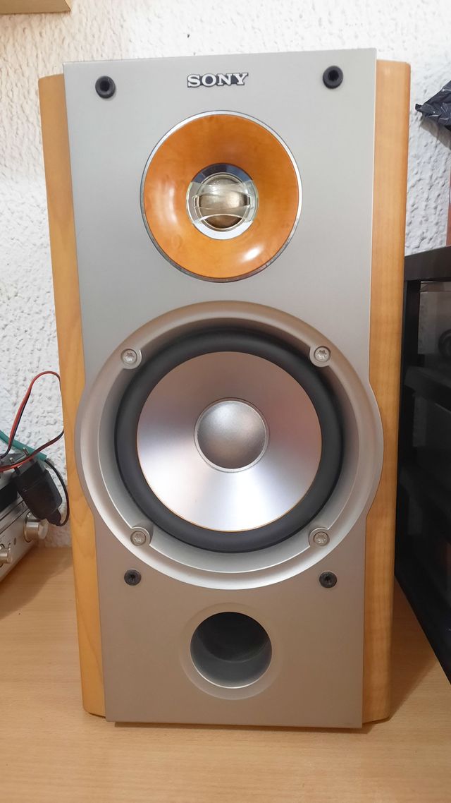 Altavoces Sony SS-NX1 (Pareja)