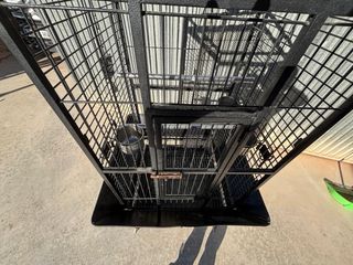 Jaula para loro grande