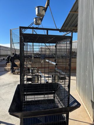 Jaula para loro grande