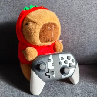 Mando Pro Nintendo Switch