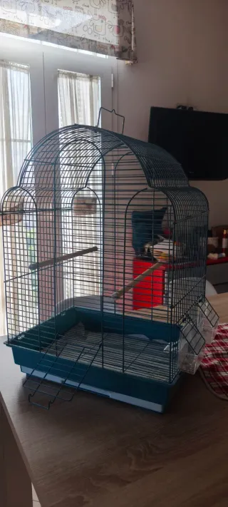Jaula para pájaros y transportín