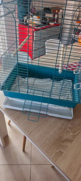 Jaula para pájaros y transportín