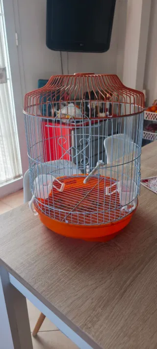 Jaula para pájaros y transportín