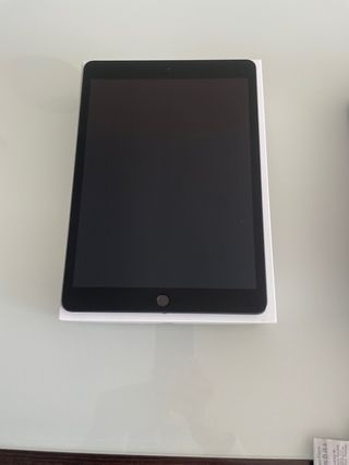 Apple iPad Gris/Plata 64 GB WIFI