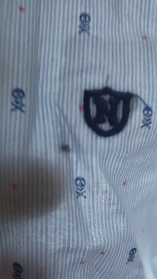 Lote 4 camisas talla 16 años