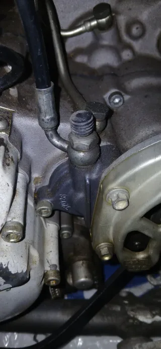 Despiece Motor Gas Gas Wild 450cc