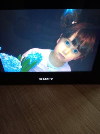 Portafoto digitale Sony