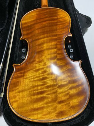 Violín con funda y arco