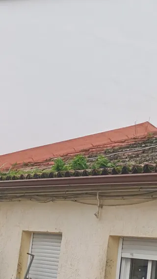 Albañil a domicilio