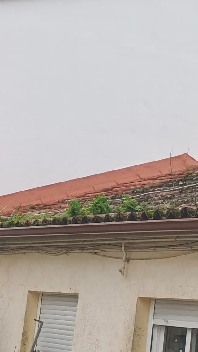 Albañil a domicilio