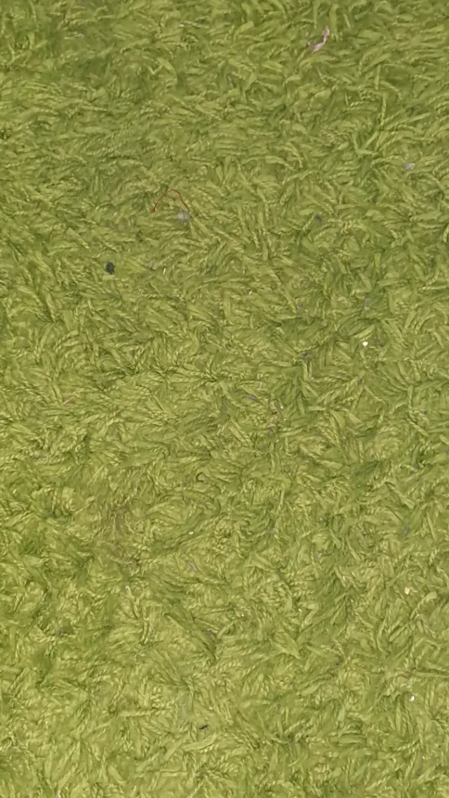 Alfombra grande verde 200x135 cm
