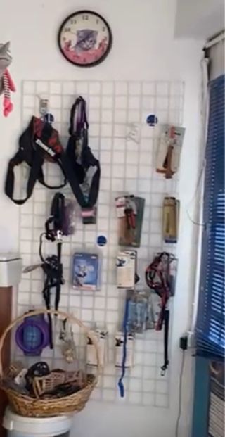 Expositor comercial con ganchos