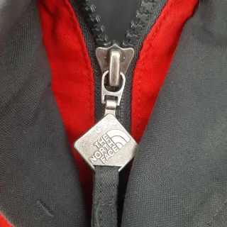 Chaqueta The North Face Dermizax Talla L