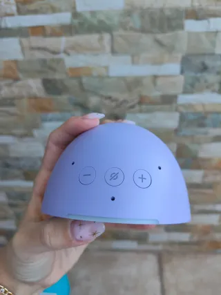 Echo Pop Alexa Amazon Viola