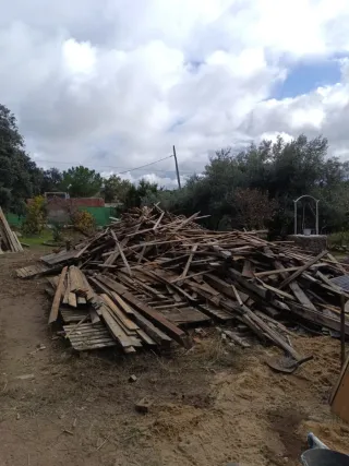 Se regala madera gratis