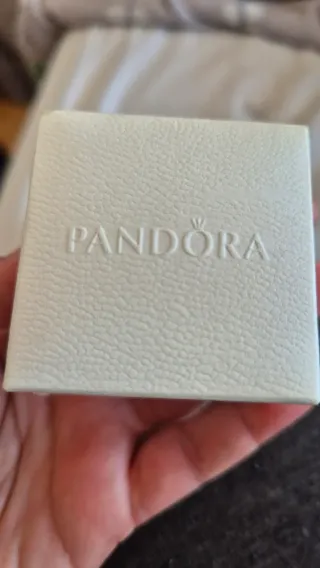 Anillo Pandora Plata Primera Ley. Talla 56 (16)