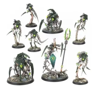 Warhammer Kill Team Necrones Círculo Canóptico