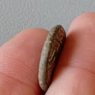 ≡ Espectacular Moneda romana emperador Vespasiano