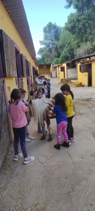 Casal de Navidad Hípica Can Rafael