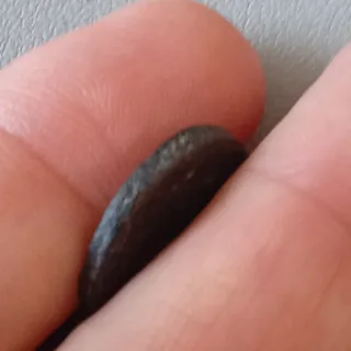 ≡ Espectacular moneda romana emperador Claudio